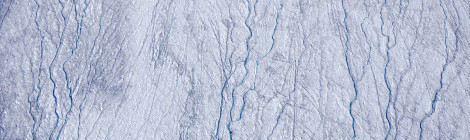 New paper shows Greenland ice surface albedo controlled by distributed biologically-active impurities